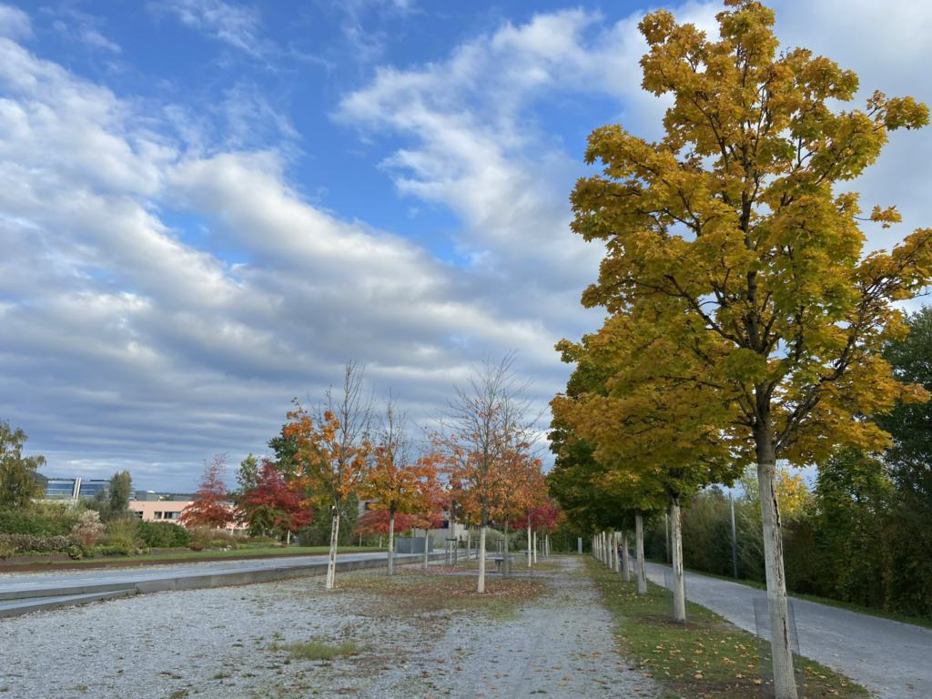El cielo en Deggendorf